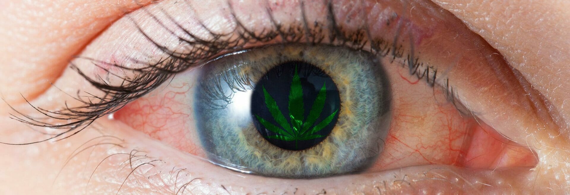 Das Phänomen der roten Augen durch Cannabis: Warum und wie man es vermeidet