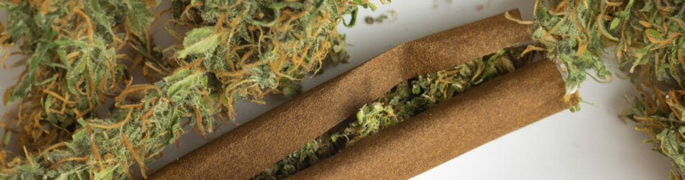 Blunt Wrap mit Cannabis
