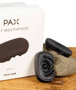 pax-ersatzmundstueck-2er-pack-flaches-mundstueck-1.jpg
