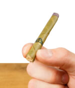 King Palm Cone in einer Hand gehalten.