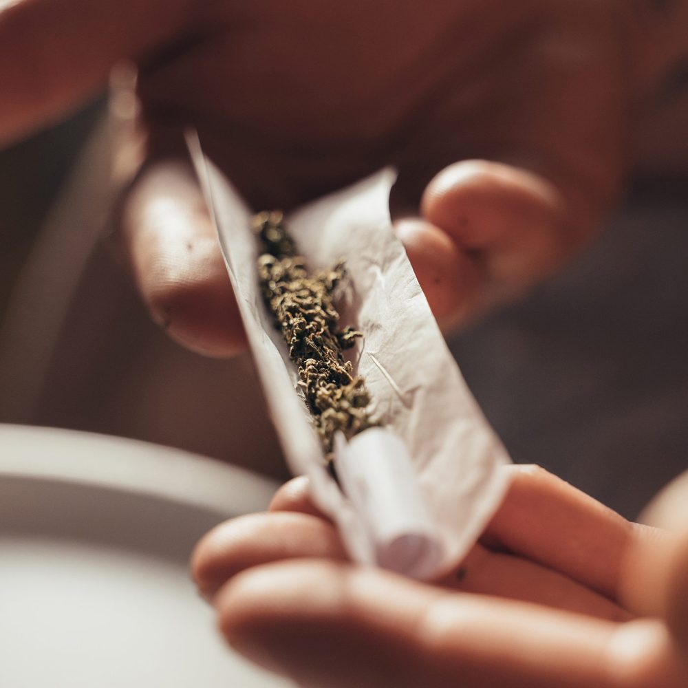 Hand hält Drehpapier mit Blüten zum Cannabis pur rauchen.